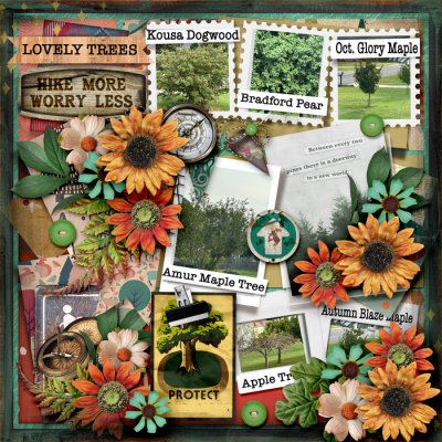 Lovely Trees