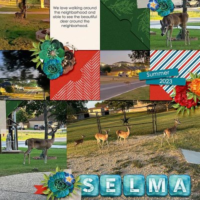 SELMA