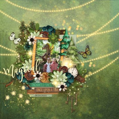 Enchanted Forest
