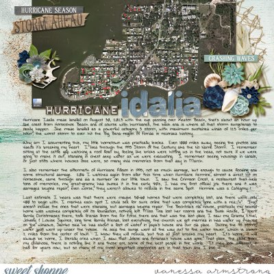 Hurricane Idalia ~ My Hometown