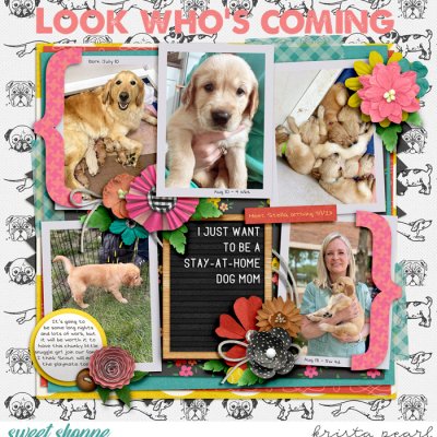 Look Who's Coming