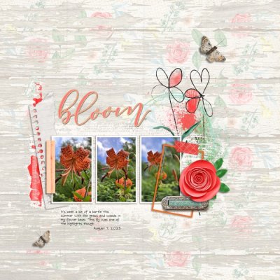 Bloom