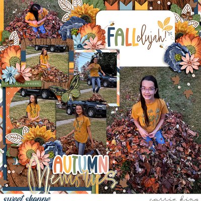 Autumn Memories