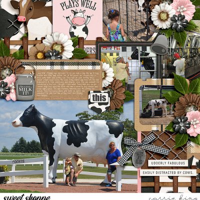 Visit to the Dairy Farm