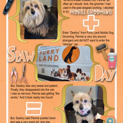 Spaw Day