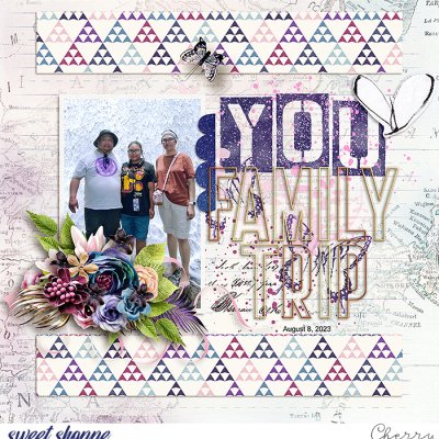 Family Trip