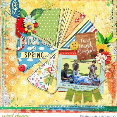 pieces of spring