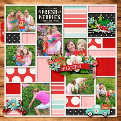 FreshBerries2010web