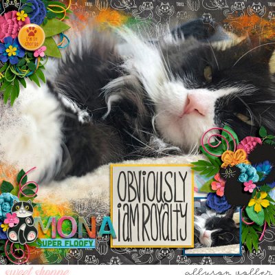 Mona floof