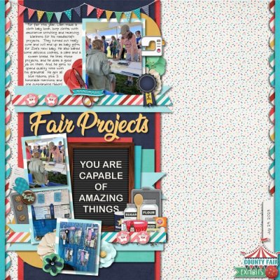 Fair Projects