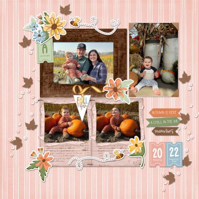 Pumpkin Patch