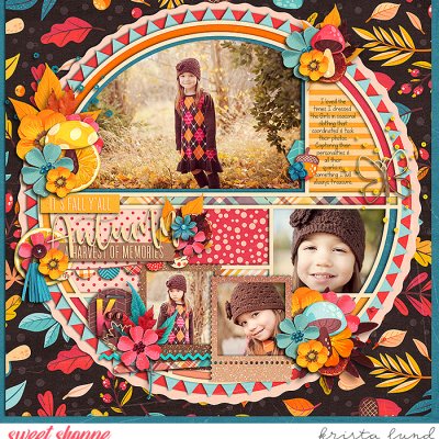 SSD-KL-2010_11-HarvestMemories