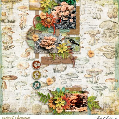 Mushroom Clusters