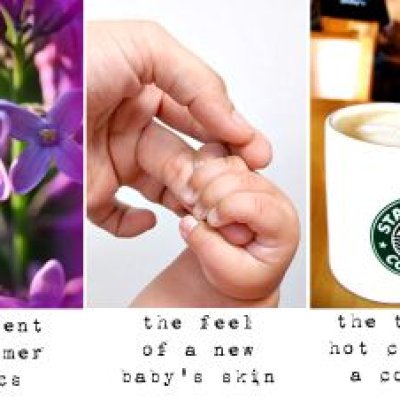 My Senses