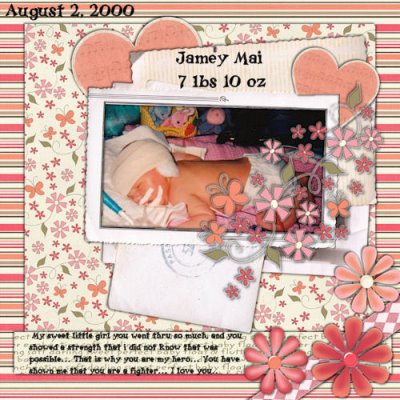 jamey's baby book beginning