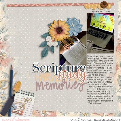 Bible Study