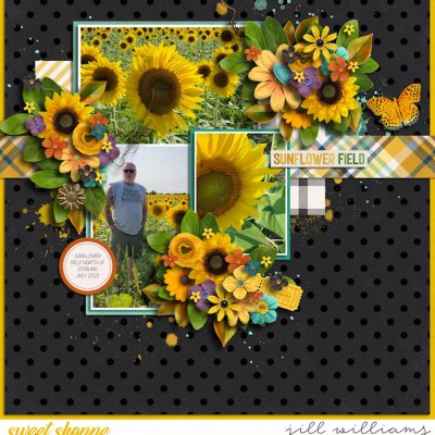 Sunflowers