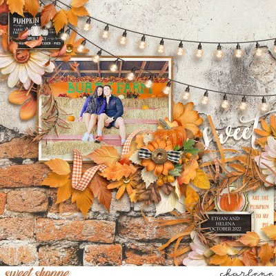 Pumpkin To My Pie