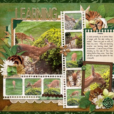 Learning