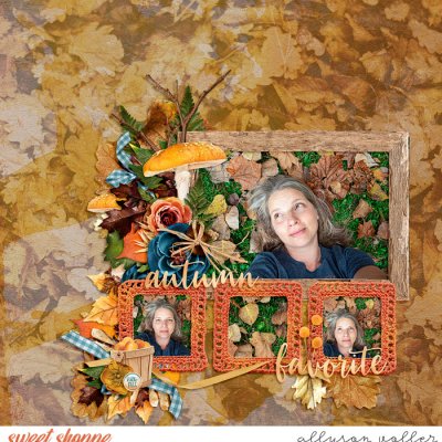 Autumn Favorite