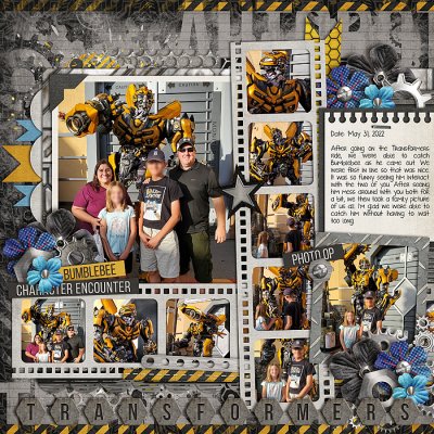 Meeting Bumblebee