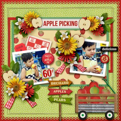 Apple Picking