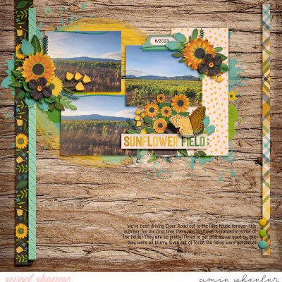 Sunflower Field