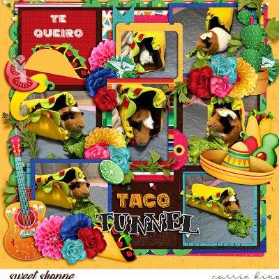 Taco Tunnel