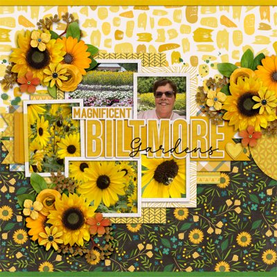 Biltmore Gardens