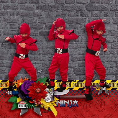 Ninja