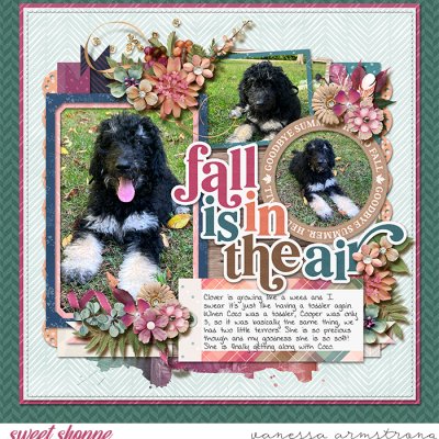 Fall is in the Air