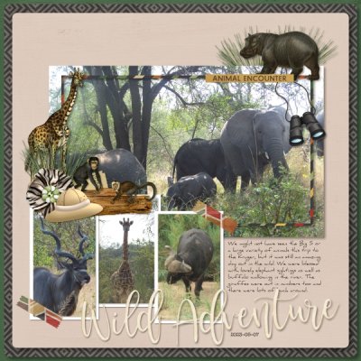 2023-05-07_WildAdventure