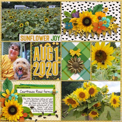 Sunflower Joy