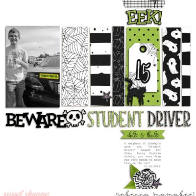 Beware Student Driver