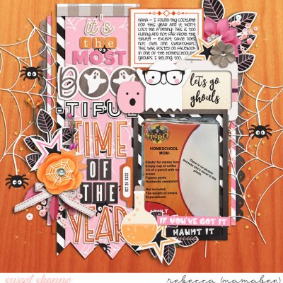 Homeschool Costume funny