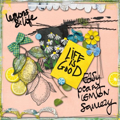 About Lemons and Life