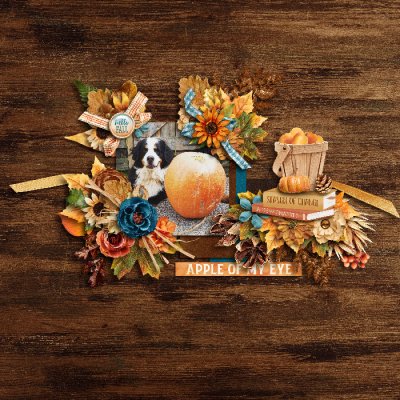 Fall Favorites