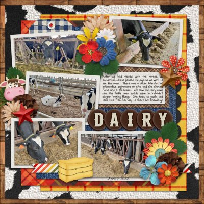 Dairy
