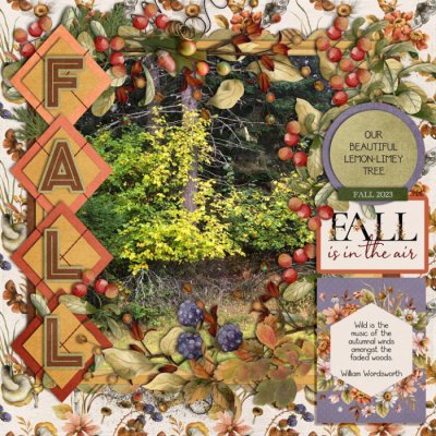 LEMON-LIMEY TREE 2023 - THIS OR THAT 13b