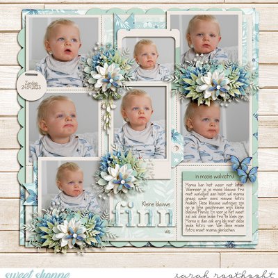 Kleine Blauwe Finnvis