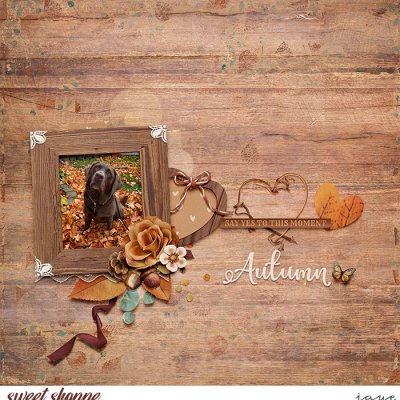Fall Frolick