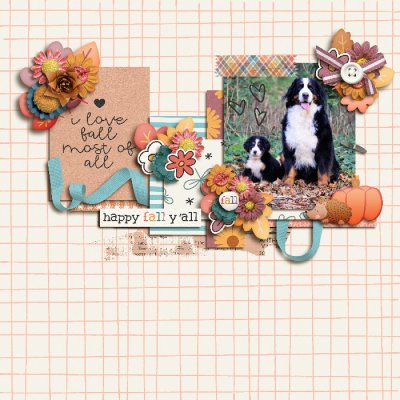 Find me in Fall