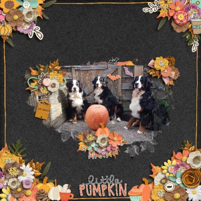 Pumpkin Spiced Everything