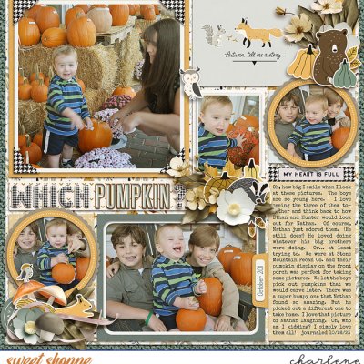 Which Pumpkin