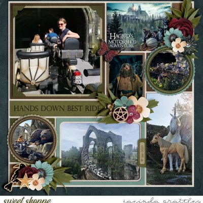 Hagrid's ride 1