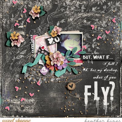 Fly