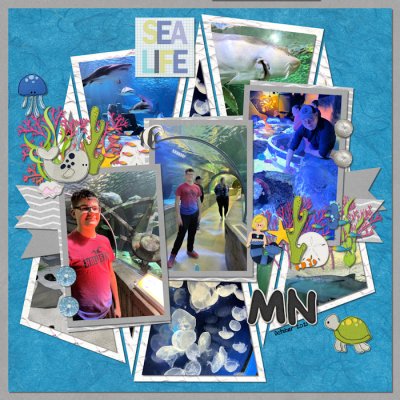 Sea Life