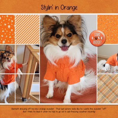 Stylin' in Orange