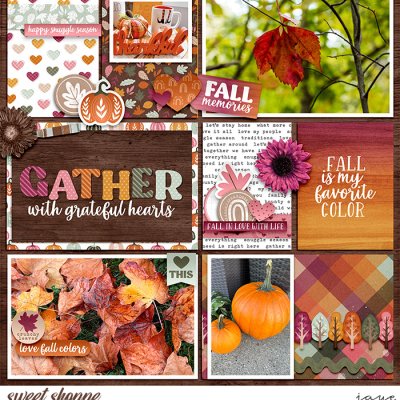 Glimpses of Fall