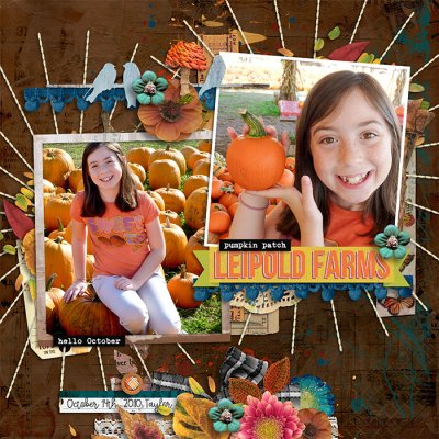 Perfect little pumpkin